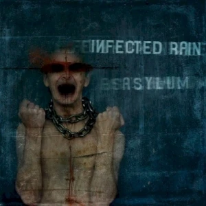Asylum