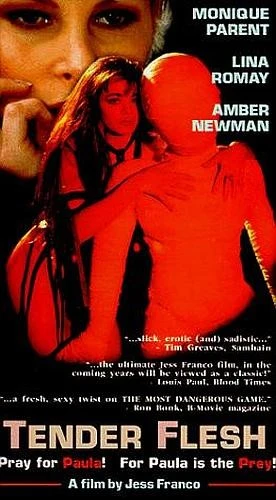 VHS Cover (Shock-O-Rama Cinema)