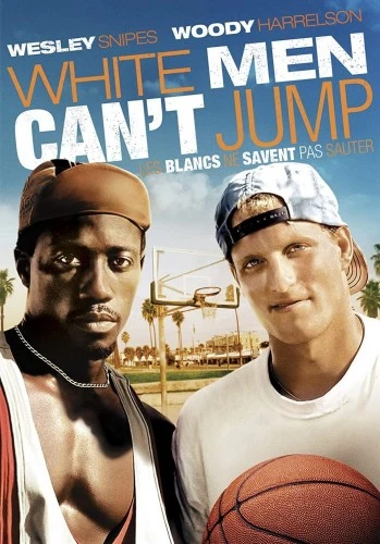 DVD Cover (France)