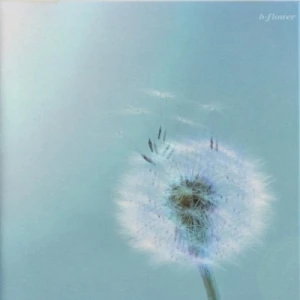b-flower