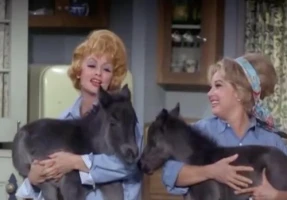 Lucy and the Countess Have a Horse Guest