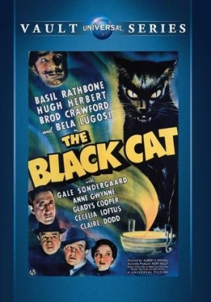DVD Cover (Universal)