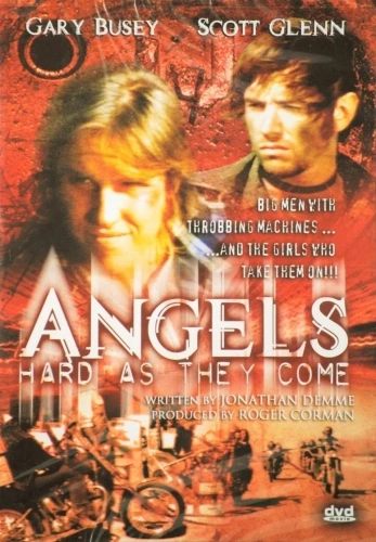 DVD Cover (Miracle Pictures)