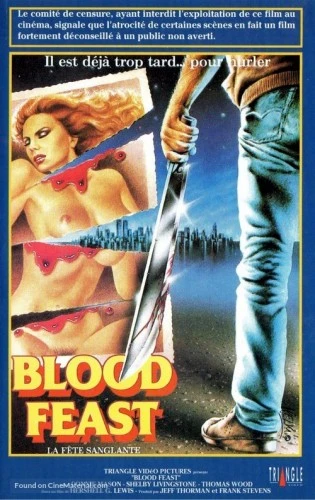 DVD Cover (France)