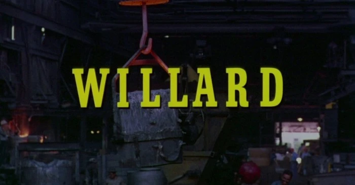 Title Card