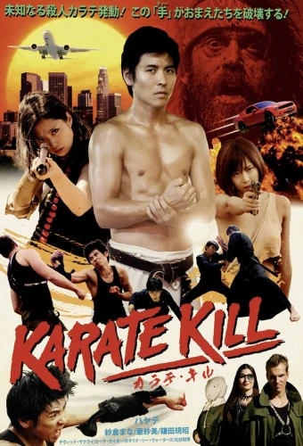 DVD Cover (Japan)