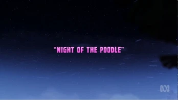 Night of the Poodle