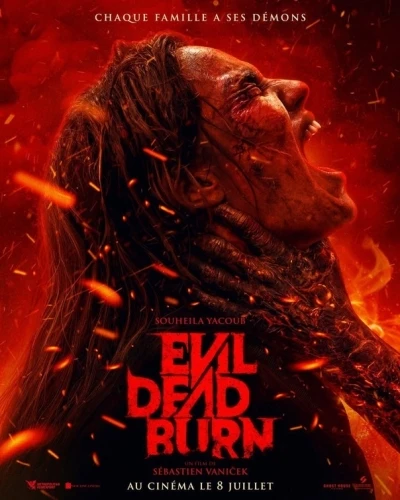 Theatrical Poster (France)