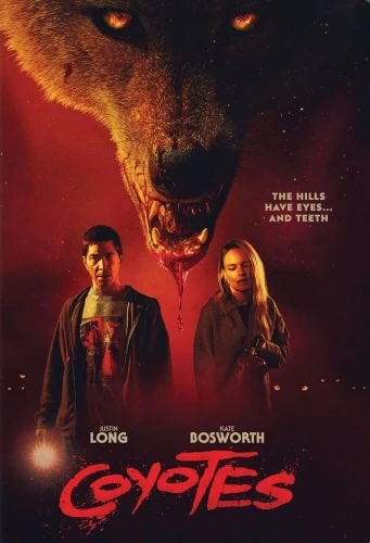 DVD Cover (Decal Releasing)