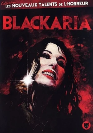 DVD Cover (France)