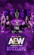 AEW: Women's Tag Team Cup Tournament: The Deadly Draw