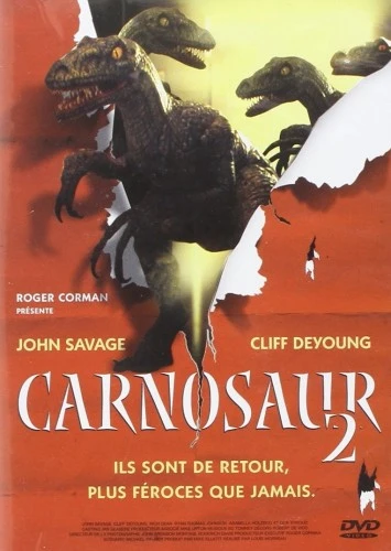 DVD Cover (France)