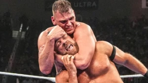 Survivor Series 2025 Fallout