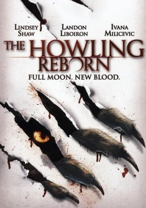 DVD Cover (Lions Gate)