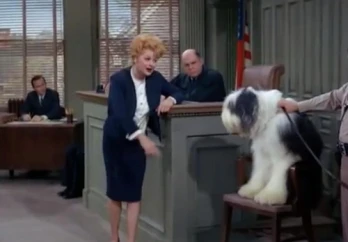 Lucy Is Her Own Lawyer