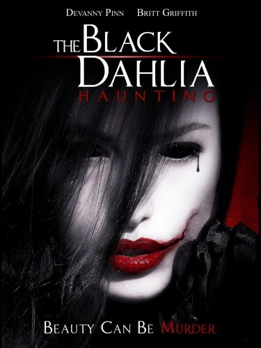 DVD Cover (Origin Releasing)