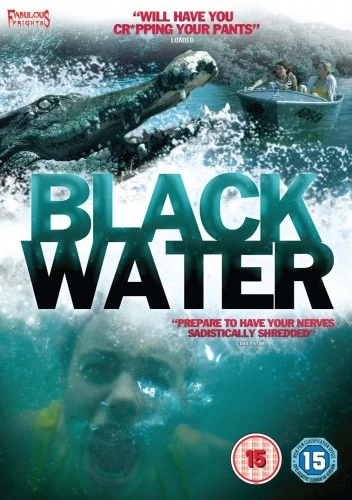 DVD Cover (UK)