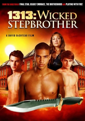 DVD Cover (Rapid Heart Pictures)