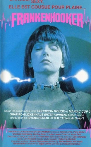 VHS Cover (France)