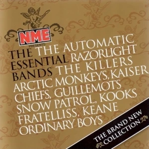 NME Presents: The Essential Bands