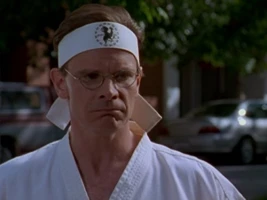 Honey, I'm Kung Fu Fighting