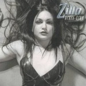 ZilloScope 2004/05