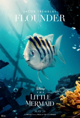 Theatrical Poster (USA)