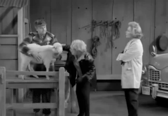 Lucy Buys a Sheep