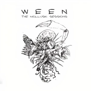 The Mollusk Sessions