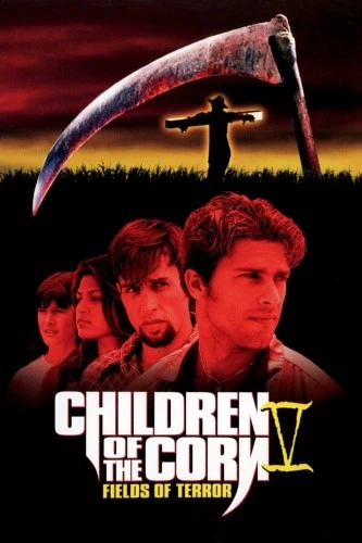 DVD Cover (Dimension)