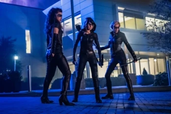 Green Arrow & the Canaries