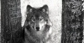 Norman S. Wolfe