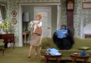Lucy and the Monkey