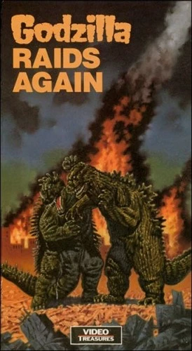 VHS Cover (Video Treasures)
