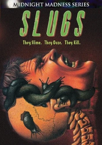 DVD Cover (Image Entertainment)