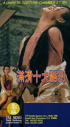 VHS Cover (Tai Seng Entertainment)