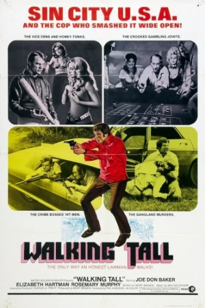 Theatrical Poster (USA)