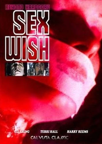 DVD Cover (VCX)
