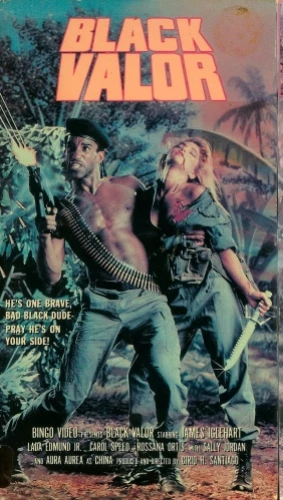 VHS Cover (Bingo Video)