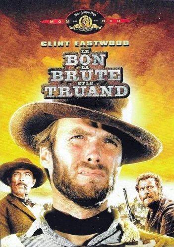 DVD Cover (France)