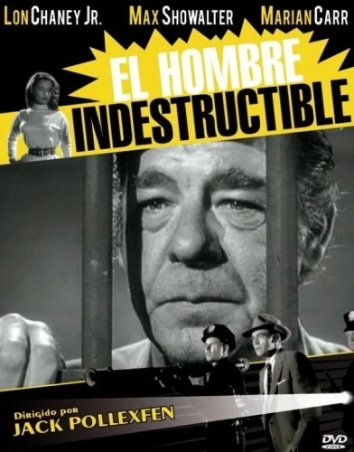 DVD Cover (Spanish)