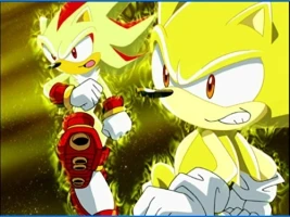 Sonic vs. Shadow