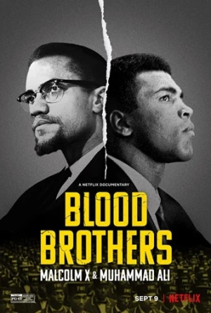 Theatrical Poster
