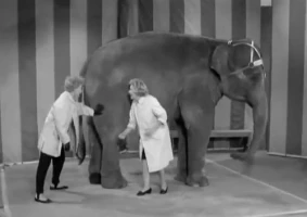 Lucy Misplaces $2,000