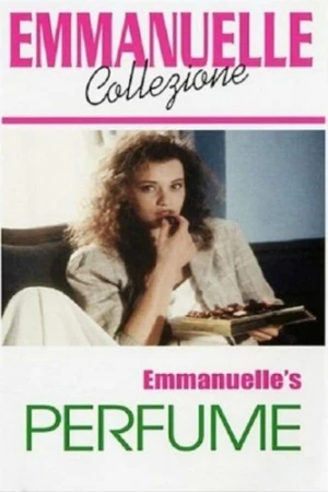 DVD Cover (France)