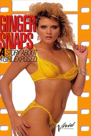 VHS Cover (Vivid Entertainment)