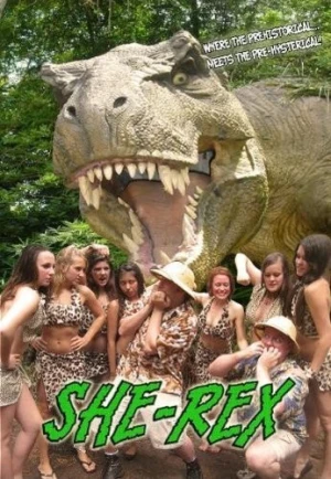 DVD Cover (IndieFlix)