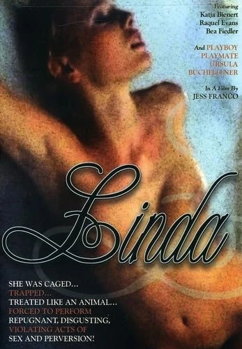 DVD Cover (Televista)