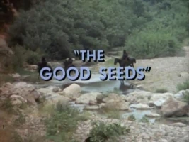 The Good Seeds