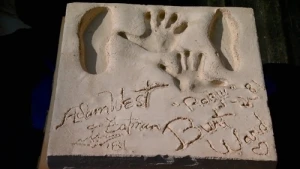 Bat Prints